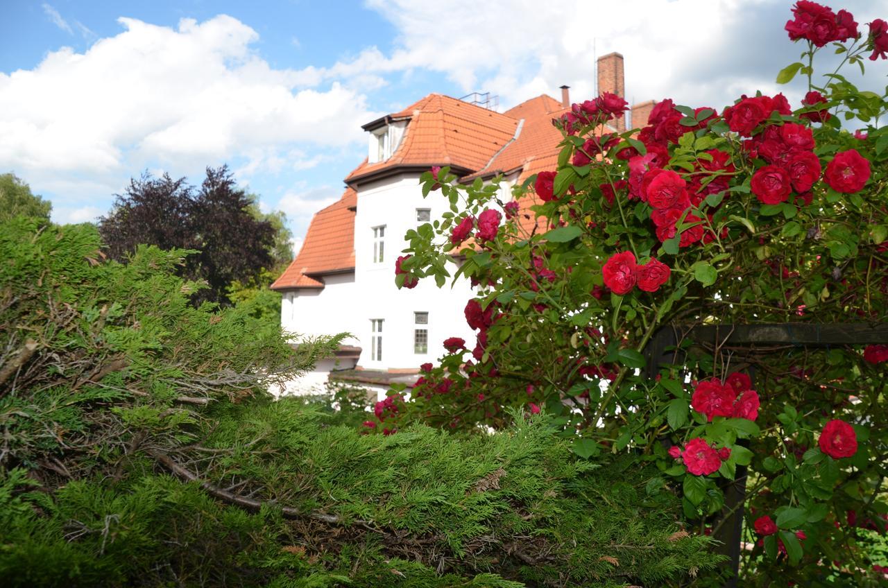 Kurhaus Jonsdorf Hotel Luaran gambar